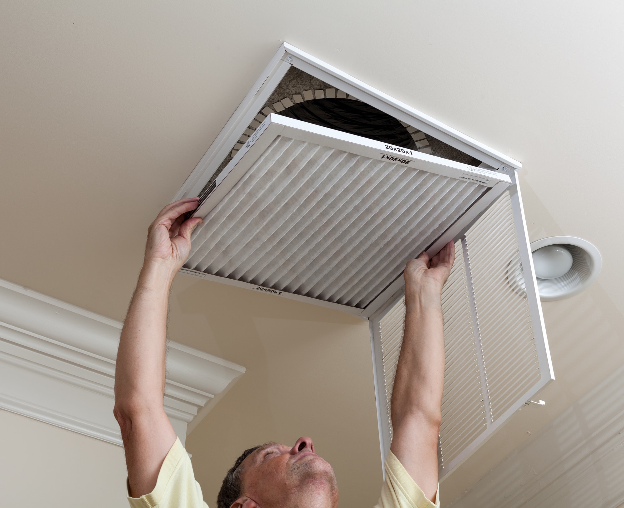 Is There A Big Difference In Home Air Filters at Rosa Johnson blog